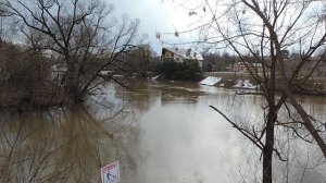 Дубровицы. Пахра. 01.04