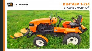 Минитрактор Кентавр Т-24 в работе с косилкой и граблями