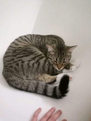 Нина и Лина