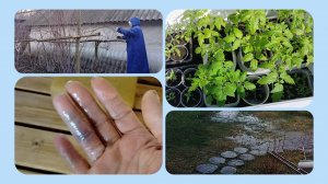 Происшествие с пальцем)) Летний день 31 марта)) Работаю в ежевике))