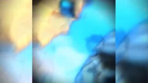 MONTAGEM VOZES TROPICAL 2(super slowed )