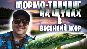 ЖОР ЩУКИ ВЕСНОЙ в дождь. Поклевка на каждой проводке ! КАК ? #щукавесной #рыбалканащуку #танта