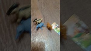 Обзор акций