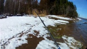 Рыбалка на р.Волга!Ловля плотвы и язя на донку с берега.