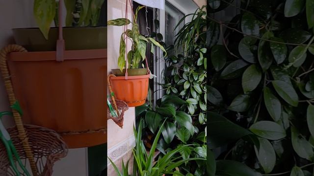 Усадьба Ленино. Забыла заказать мебель для бани.