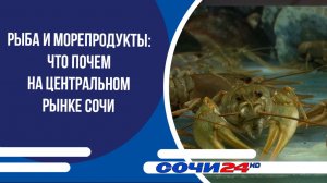 Рыба и морепродукты: что почем на Центральном рынке Сочи