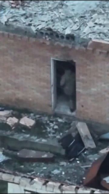 Штурмовики наши так работают