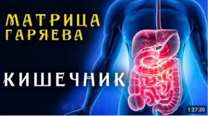 Единственная Матрица Гаряева для Кишечника ☀️ Квантовое исцеление Кишечника звуком