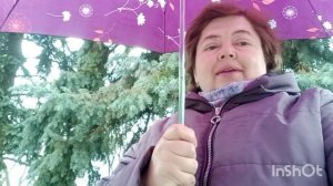 Кому сегодня весело?