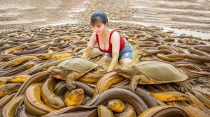 Таймлапс. За 188 дней были распроданы всё угри и черепахи пойманные своими руками.