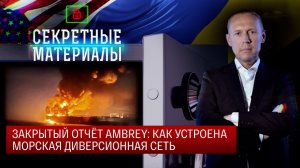 Закрытый отчет Ambrey: Как устроена морская диверсионная сеть