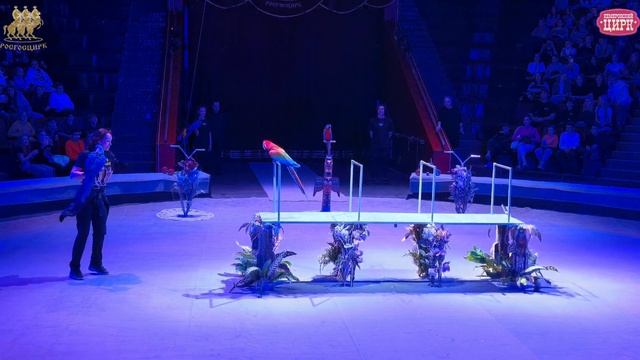 Загляните за кулисы: Открытая репетиция в Кемеровском цирке