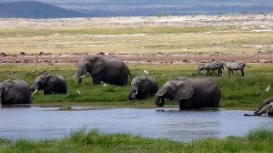 Аквапарк в Африке