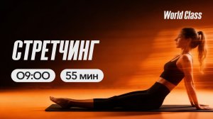 СТРЕТЧИНГ с Еленой Румянцевой | 3 апреля 2026 | Онлайн-тренировки World Class