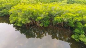 Пролетают дни, года. Анжелика и Анастасия Вишня.  Студия Новый Дом - Вестники