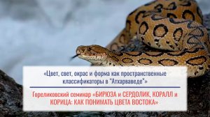 «Цвет, свет, окрас и форма как пространственные классификаторы в "Атхарваведе"» - Вырщиков Е.Г.