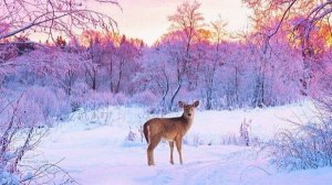 Коран на русском языке сура 002.Корова. ( Бакъара )