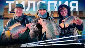 ТИЛЯПИЯ - где и как её ловят