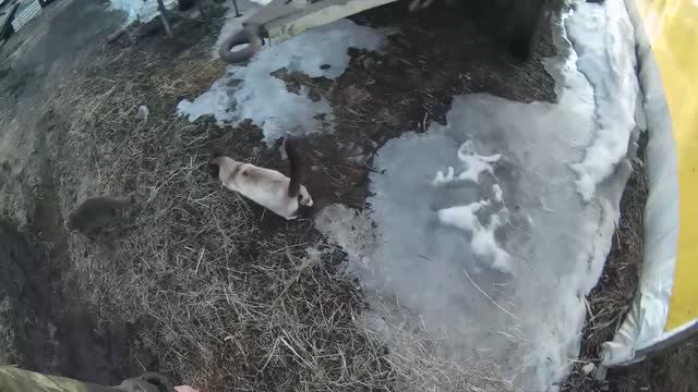 О погоде и ремонте Т-40. Застрял в мелочах.