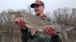 Секретная приманка на жереха за три копейки