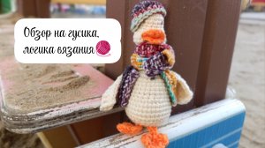 Обзор на гусика в съёмной одежде, логика вязания 🧶🥰