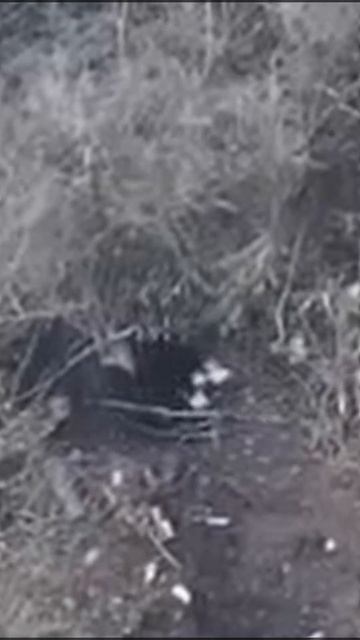 Уничтожили блиндаж