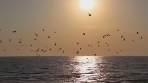 Морской Прибой.