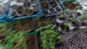 Целый день у печки. Из города в Деревню.