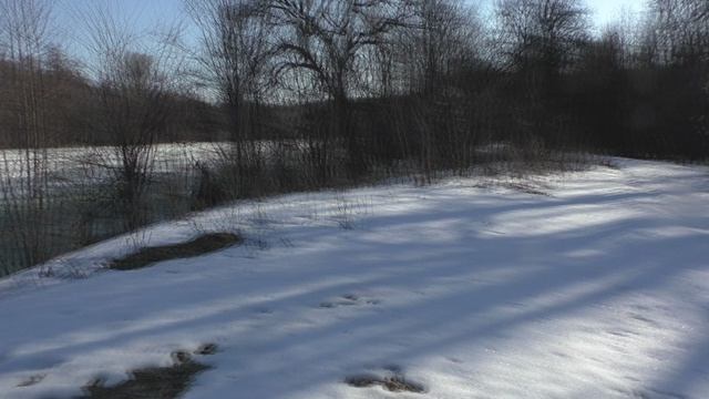 3 Часть Чёрное Озеро После Зимней Спячки От 01 04 2026 Года.