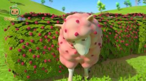 🍿🍒 Разноцветная овечка - Новая Серия 🍒| CoComelon на русском — Детские