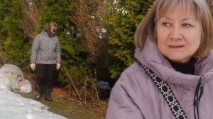 3 апреля 2026 г. Розы живы. Снег почти растаял. Подмосковная деревня.