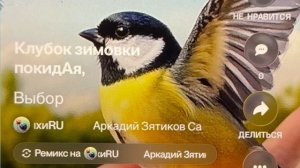 «Выбор» не забывай синицу отпуская, не все поймают журавля