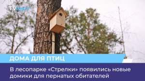 В лесопарке «Стрелки» появились новые домики для пернатых обитателей