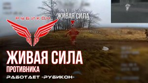 Живая сила противника. ВСУ теряет пехоту под ударами Центра «Рубикон»