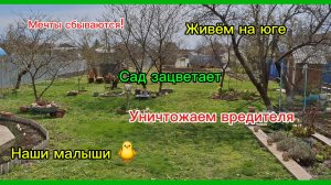 03-04-2026 Из Сибири на юг/Наслаждаемся южной жизнью/Наши дела/Малыши/Уборка/Готовка//