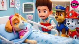 Щенячий патруль и Маршалл. Залипательное видео. Мультфильм для детей и малышей. Анимация 360