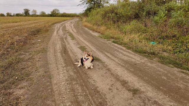 Каспер на Кавказе