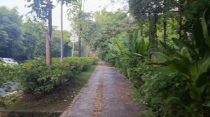 День пятый и шестой