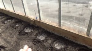 Обзор рассады томатов в теплице 1 апреля 2026 года. Все форточки открыты! А за стеной - сугробы...