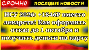 НСУ 2026: +1846₽ вместо лекарств! Как оформить отказ до 1 октября и получить деньги на карту