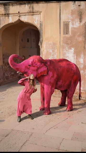 Розовый слон