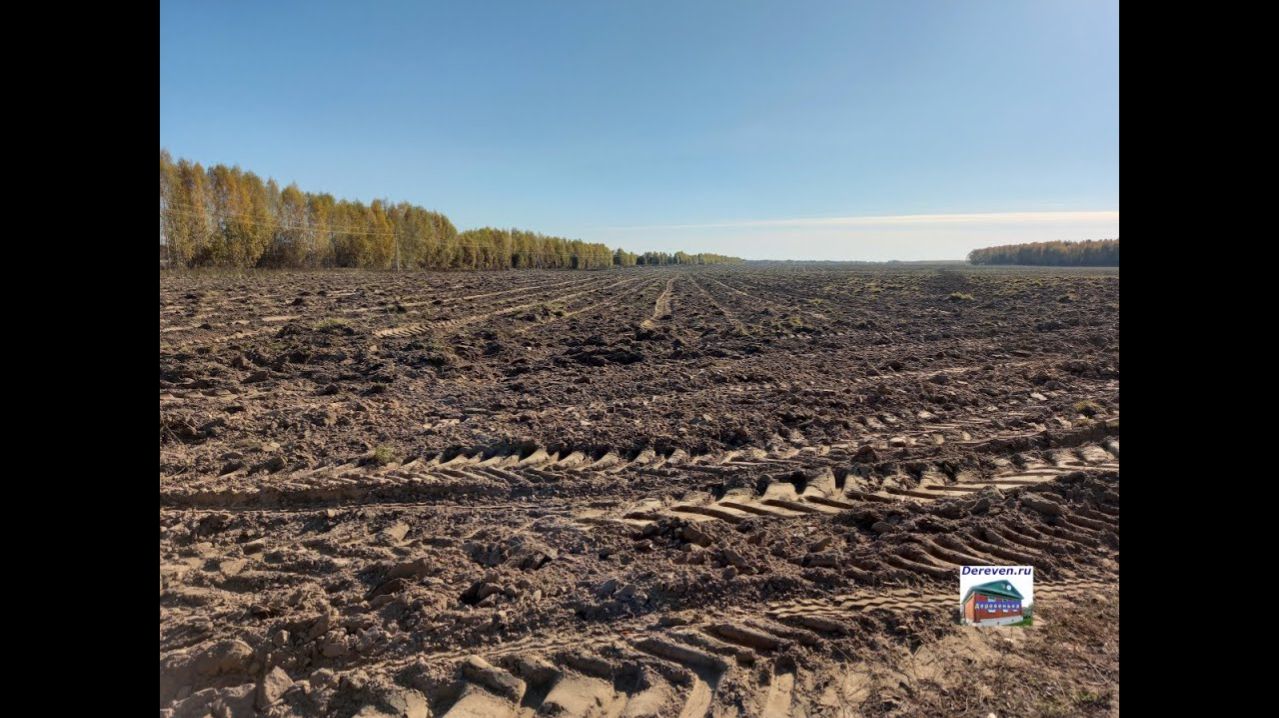 Новость с заброшенных полей бывшего совхоза