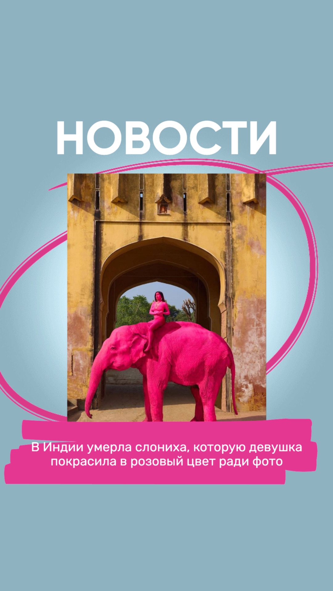 В Индии умерла слониха которую блогерша покрасила в розовый цвет ради фото.