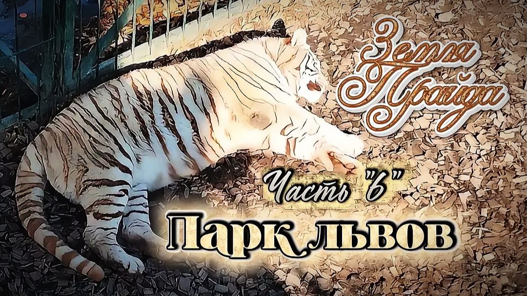 Зоопарк. #Земля_Прайда Парк львов Часть"6"