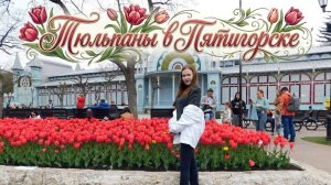 Тюльпаны в Пятигорске