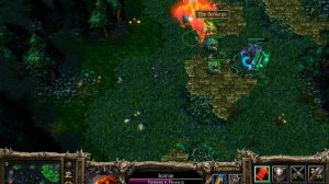 Дота (Феникс)