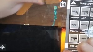 Я играю в mount play grand