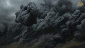 Учёные создали компьютер, использующий человеческие ткани