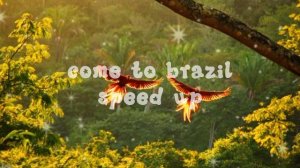 come to brazil speed up