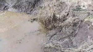 Отремонтировал и утопил трактор 🤦 🚜 🤦. Нет трактора нет проблем 🤣.